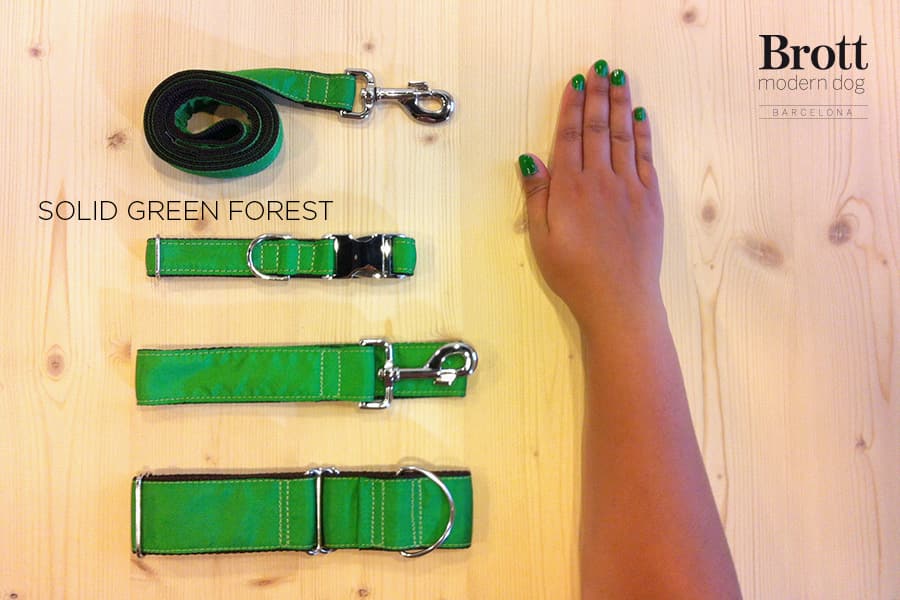 Green forest - Collar para perros naturales