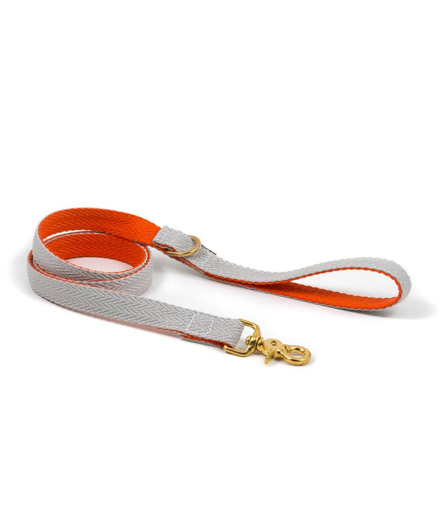 Collar para perro grey and orange