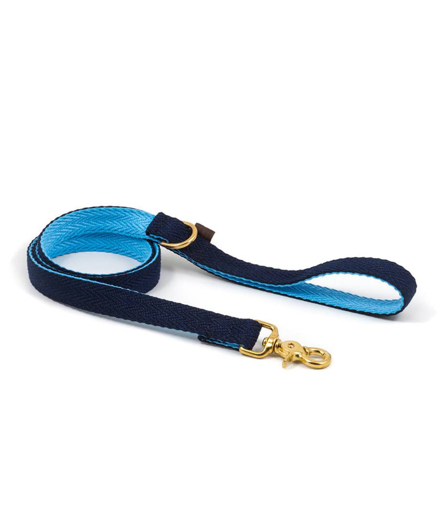 Collar para perro royal blue and sky blue