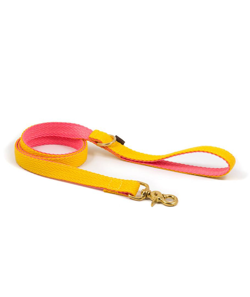 Collar para perro yellow and candy pink