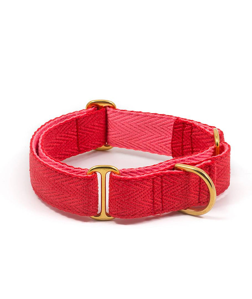 Collar para perro red and candy pink