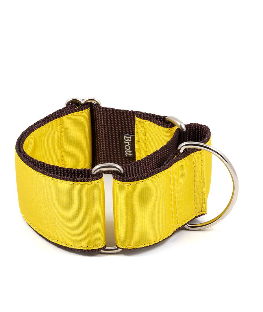 Greyhound martingale collar solid yellow Brott Barcelona