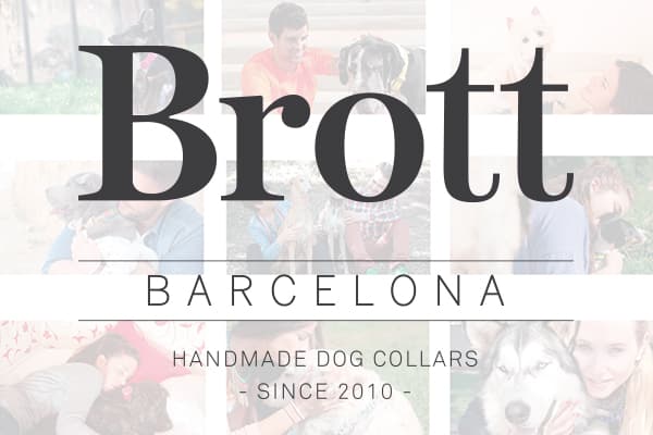 Brott Barcelona // Cool dog collars since 2010