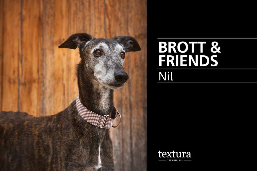 Brott&Friends