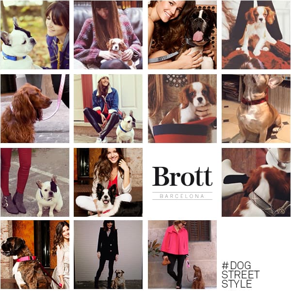 Collares para perro Brott en la 080 Barcelona Fashion!