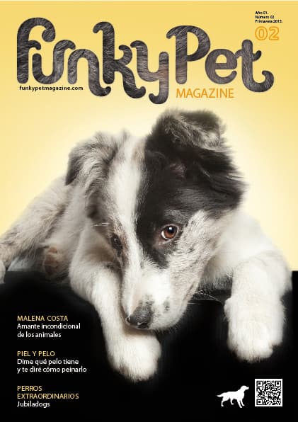Funky Pet Magazine
