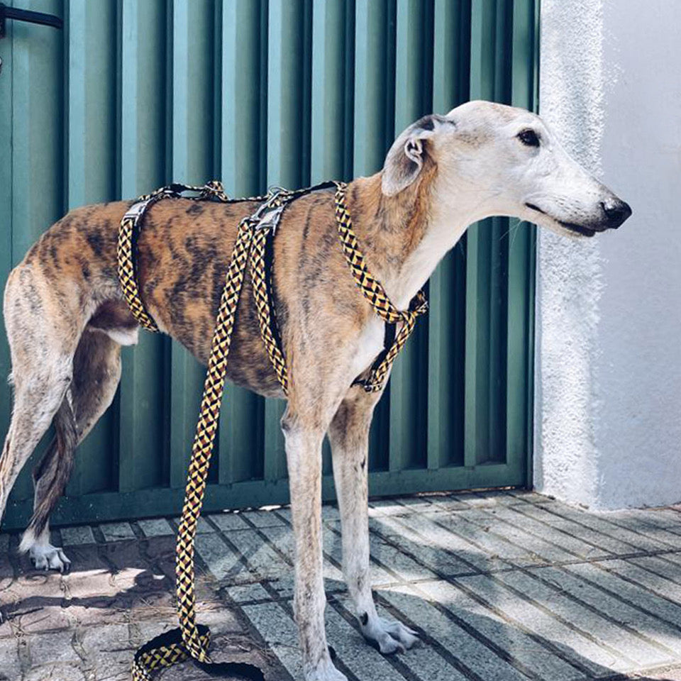 Perro Rol ᐅ Arnés Perro Pequeño | Arnés Perro | Brott Barcelona