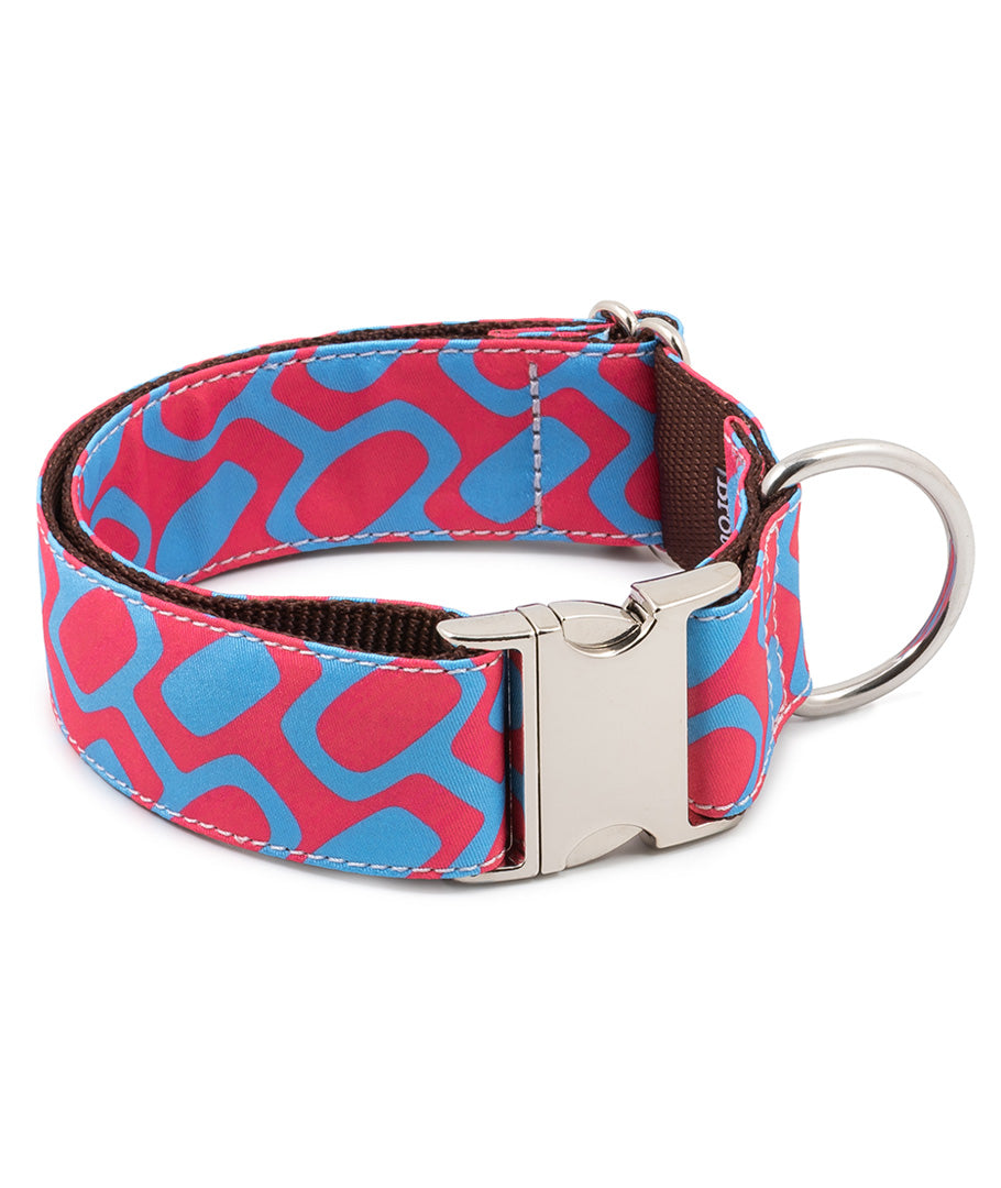 Collares para perros medianos - Lo mejor para tu perro | Branni Pets