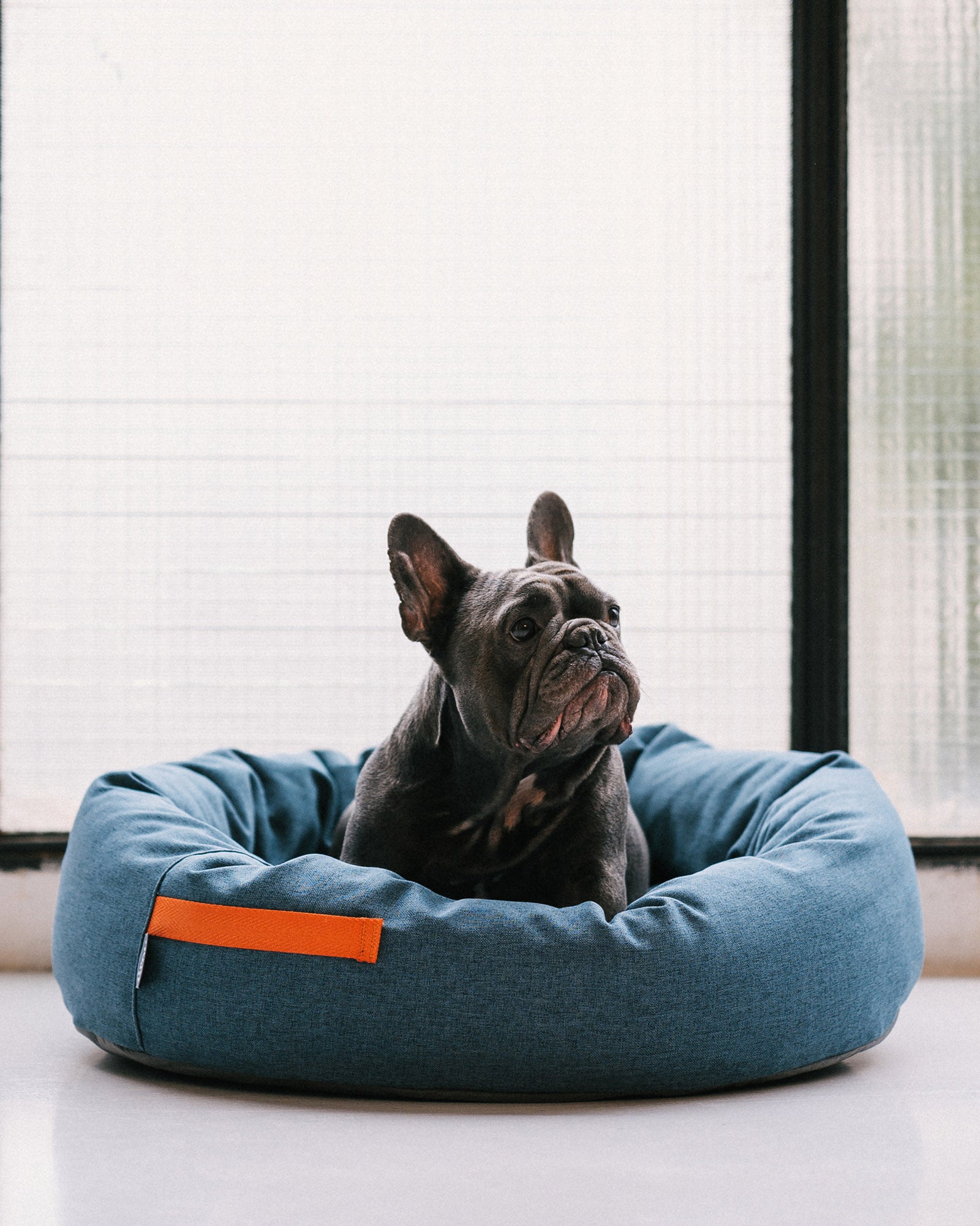 Camas Perros Medianos Genu00e9rico Cama Redonda Relax XXL Para