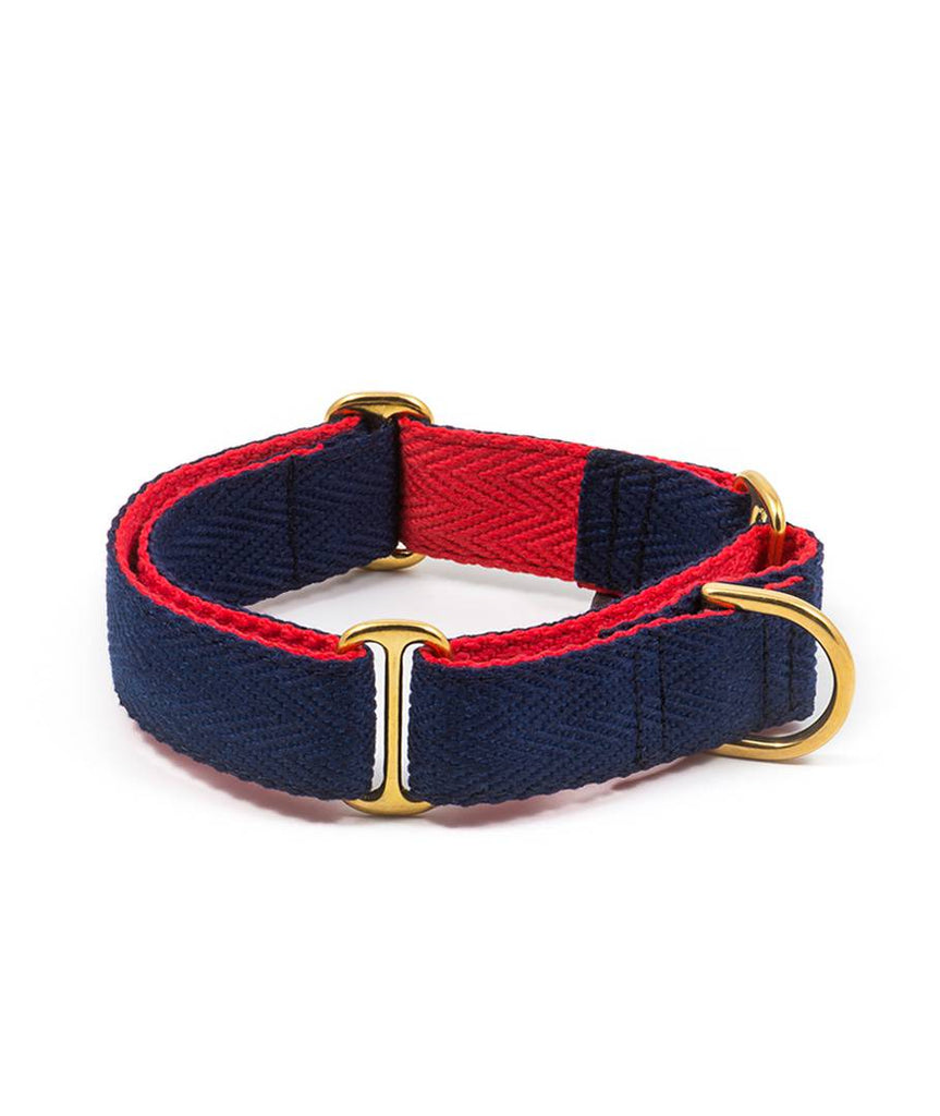 Collar para perro royal blue and red