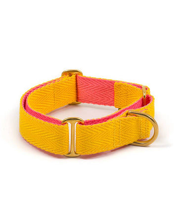 Collar para perro yellow and candy pink