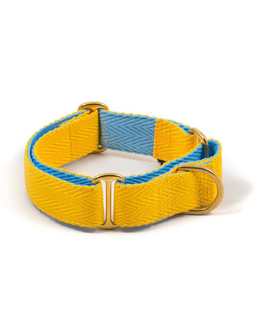 Collar para perro yellow and sky blue