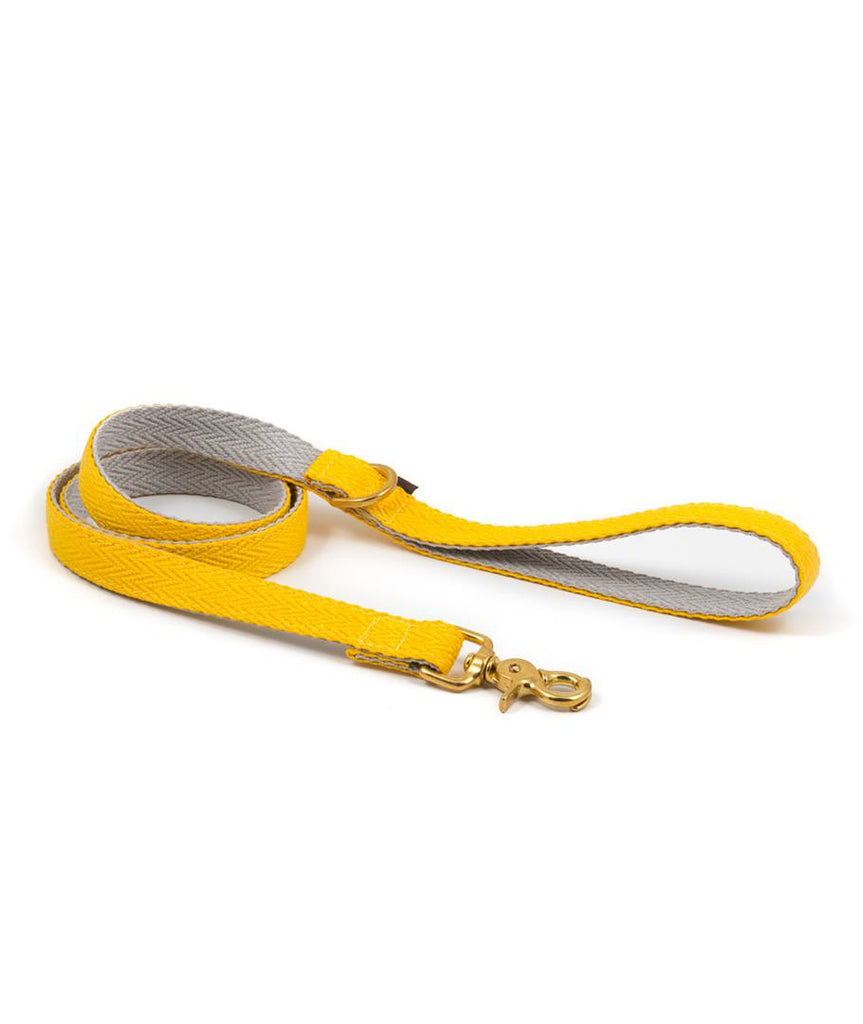 Collar para perro yellow and grey