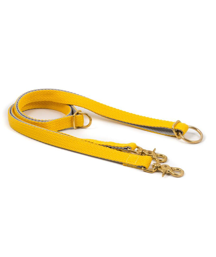 Collar para perro yellow and grey