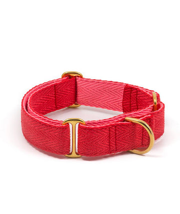 Collar para perro red and candy pink