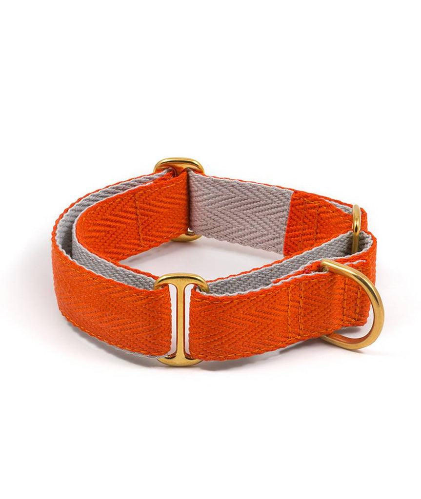 Collar para perro orange and grey