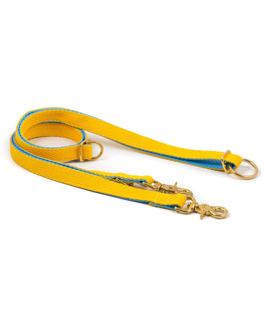 Collar para galgo yellow and sky blue