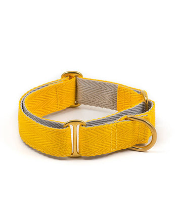 Collar para galgo yellow and grey