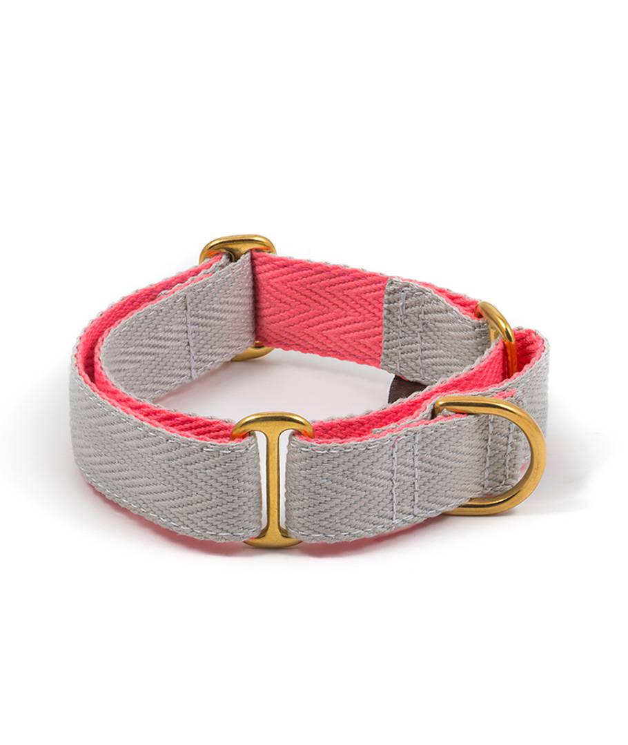 Martingale greyhound collar grey and candy pink – Brott Barcelona