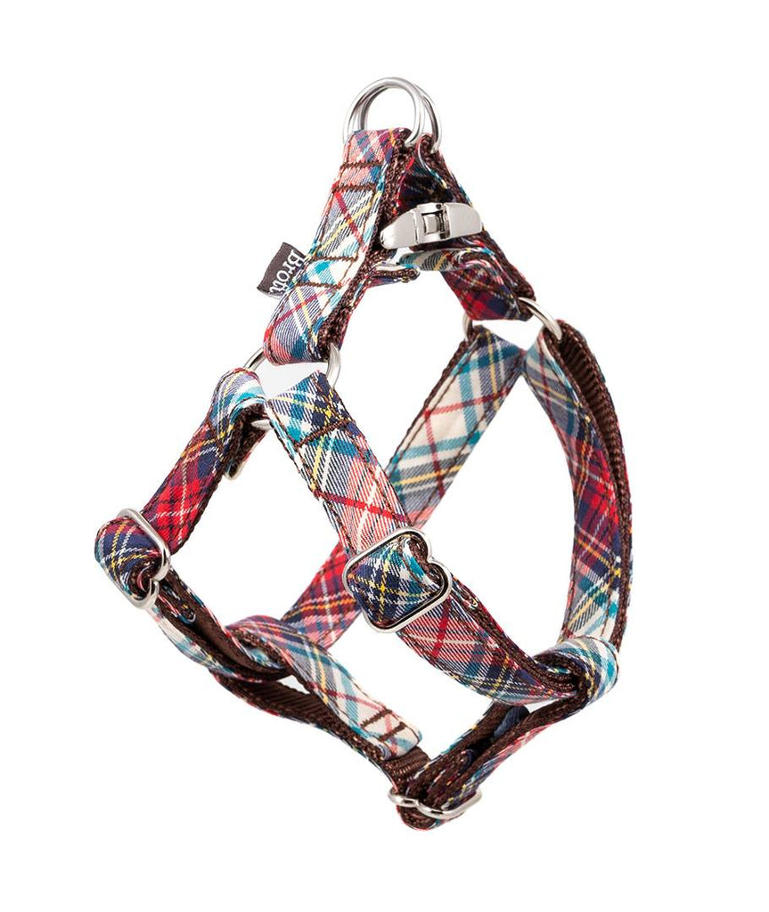 Brott Unique Greyhound Martingale And Dog Collars Brott Barcelona brott-unique-greyhound-martingale-and-dog-collars-brott-barcelona