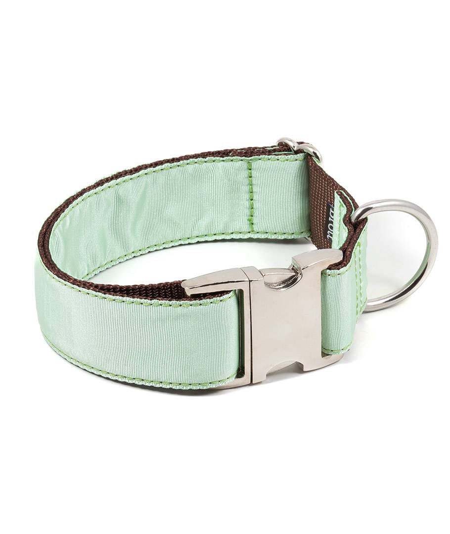 ᐅ SOLID Green Aqua Collar Dog collars Brott Barcelona