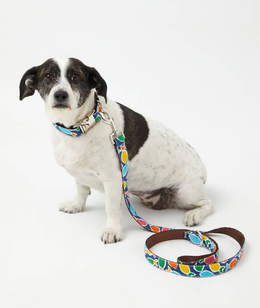 Hurtta Collar De Perro Informal Ecológico Sostenible (40-50 Cm, Ruby