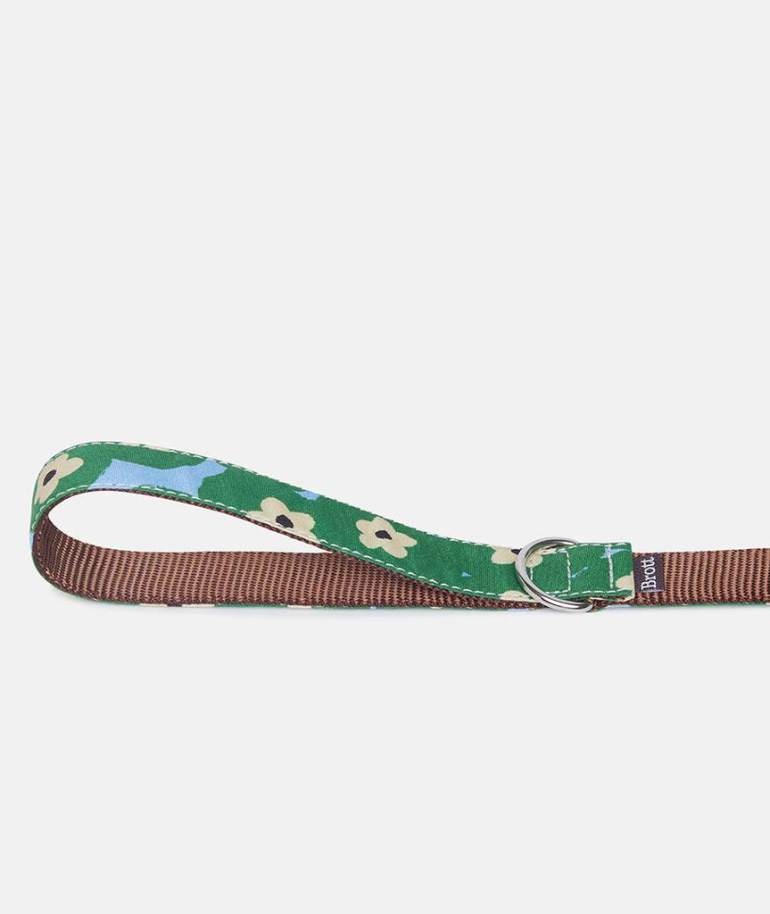 Collar galgo Bold Flowers