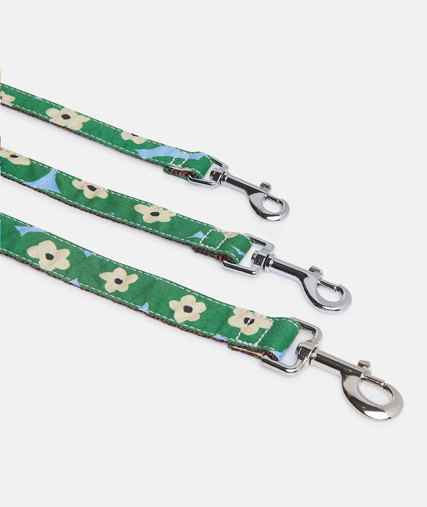 Collar galgo Bold Flowers