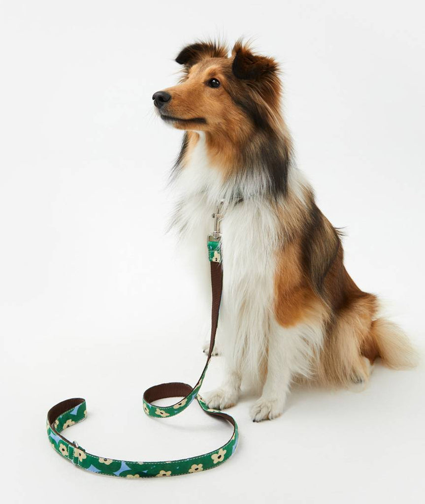 Collar perro Bold Flowers