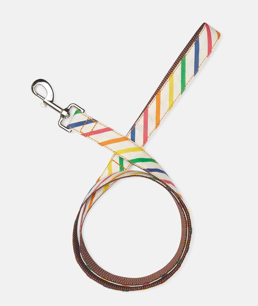 Collar Galgo Maldivas