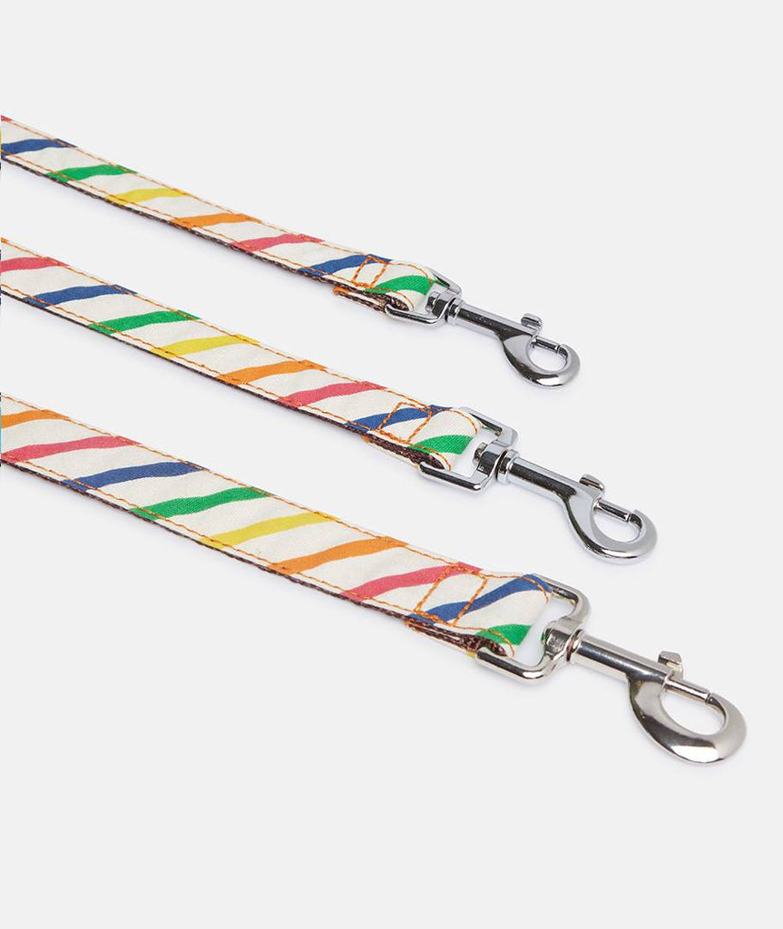 Collar Galgo Maldivas