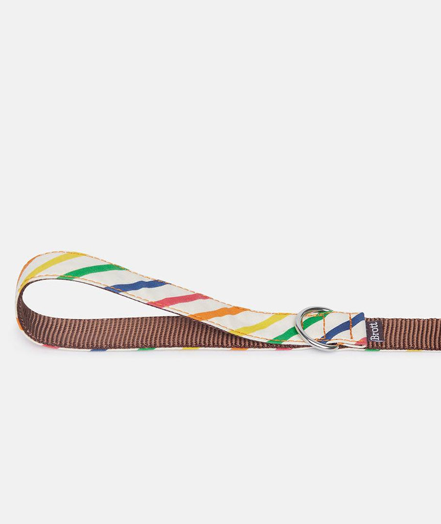 Collar perro Maldivas