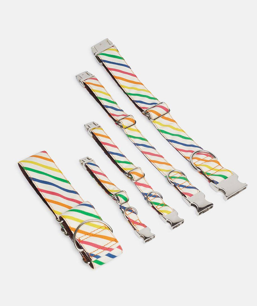 Collar perro Maldivas